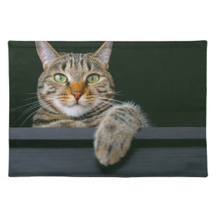 Cutest Baby Animals Gray Tabby Cat Face Cloth Placemat