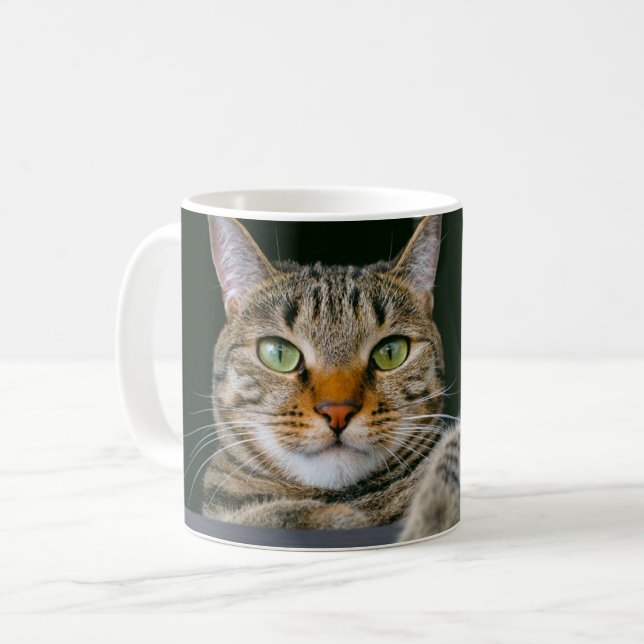 Cutest Baby Animals | Gray Tabby Cat Face Coffee Mug (Front Left)