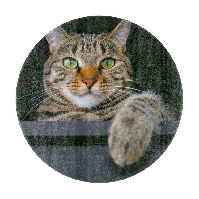 Cutest Baby Animals | Gray Tabby Cat Face Cutting Board (Front)