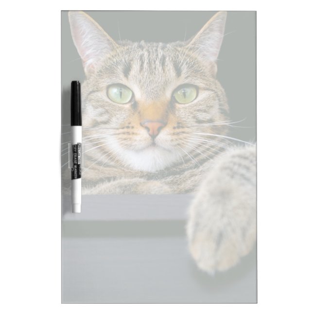 Cutest Baby Animals | Gray Tabby Cat Face Dry Erase Board (Front)