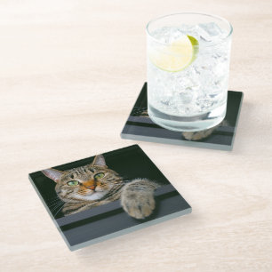 Cutest Baby Animals Gray Tabby Cat Face Glass Coaster