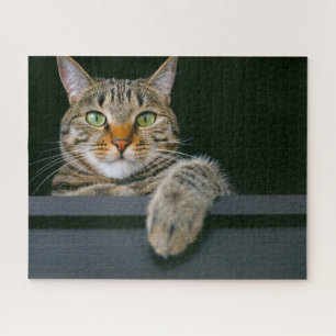 Cutest Baby Animals Gray Tabby Cat Face Jigsaw Puzzle