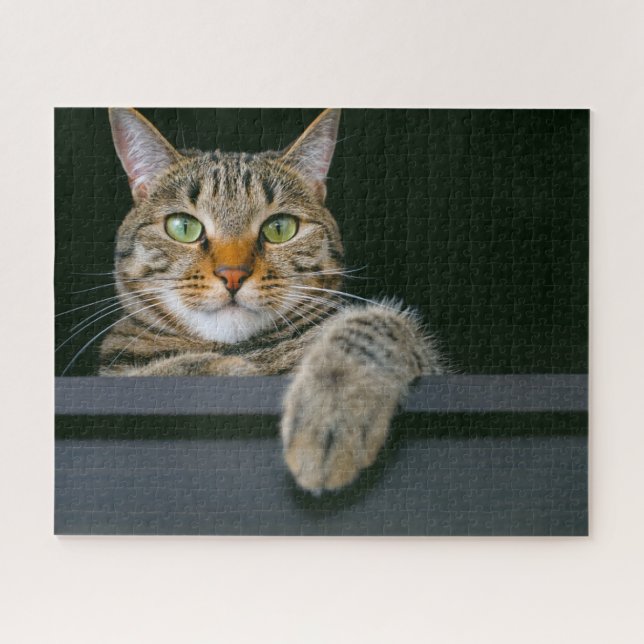 Cutest Baby Animals | Gray Tabby Cat Face Jigsaw Puzzle (Horizontal)