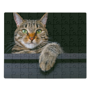 Cutest Baby Animals Gray Tabby Cat Face Jigsaw Puzzle