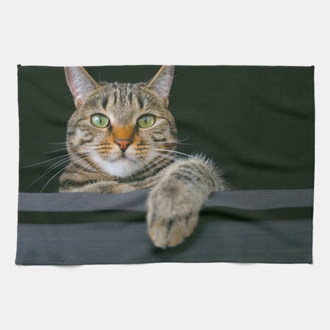 Cutest Baby Animals | Gray Tabby Cat Face Kitchen Towel (Horizontal)