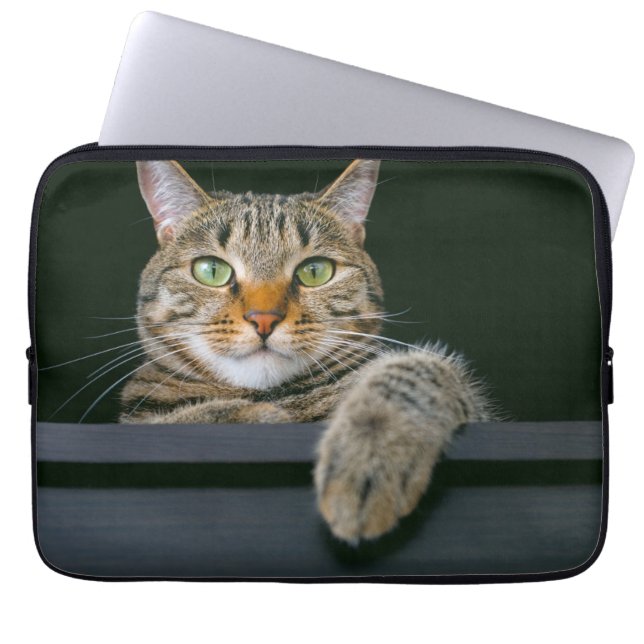 Cutest Baby Animals | Gray Tabby Cat Face Laptop Sleeve (Front)