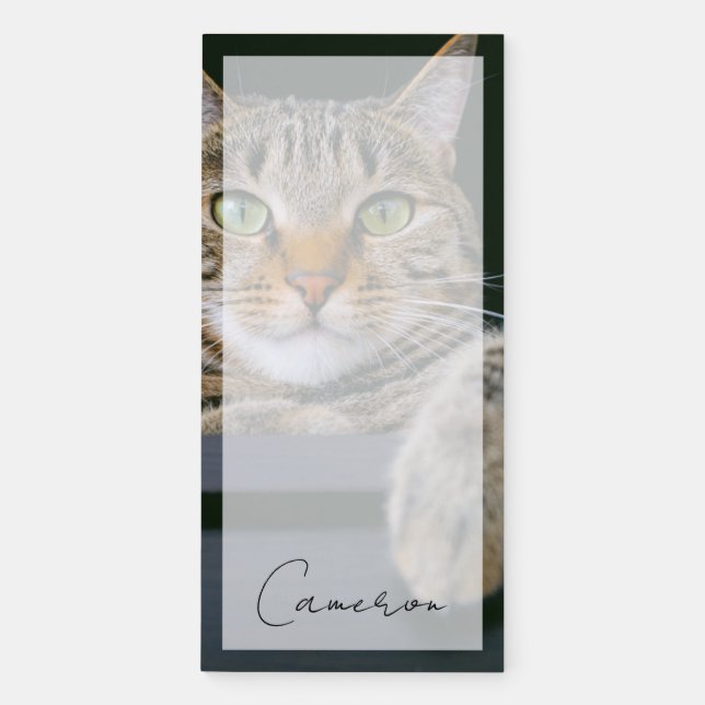 Cutest Baby Animals | Gray Tabby Cat Face Magnetic Notepad (Front)