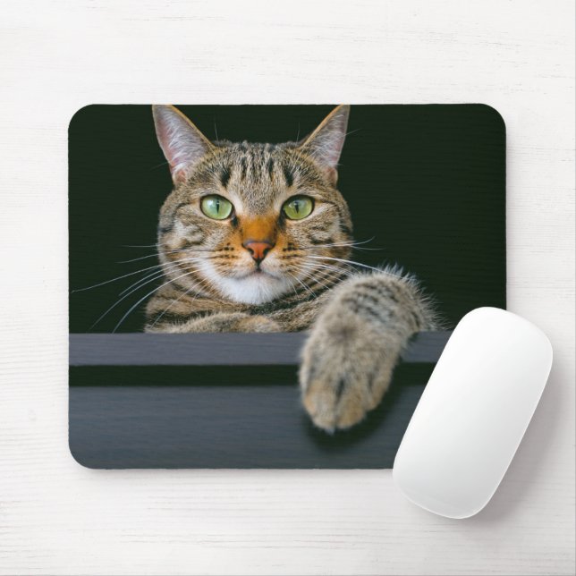 Cutest Baby Animals | Gray Tabby Cat Face Mouse Pad (With Mouse)