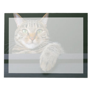 Cutest Baby Animals Gray Tabby Cat Face Notepad