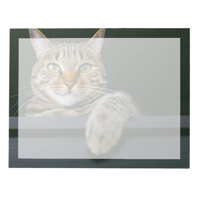 Cutest Baby Animals | Gray Tabby Cat Face Notepad (Front)
