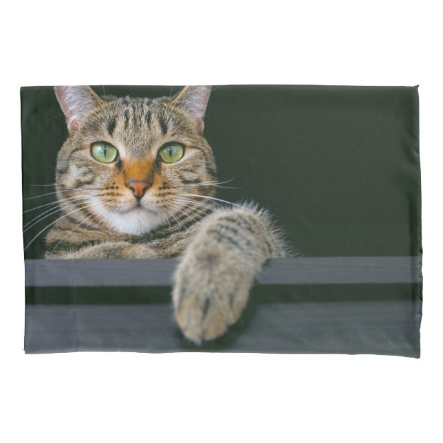 Cutest Baby Animals | Gray Tabby Cat Face Pillow Case (Front)