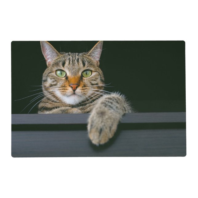 Cutest Baby Animals | Gray Tabby Cat Face Placemat (Front)