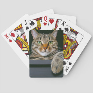 Cutest Baby Animals Gray Tabby Cat Face Poker Cards