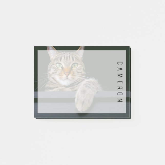 Cutest Baby Animals | Gray Tabby Cat Face Post-it Notes (Front)