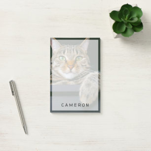 Cutest Baby Animals Gray Tabby Cat Face Post-it Notes