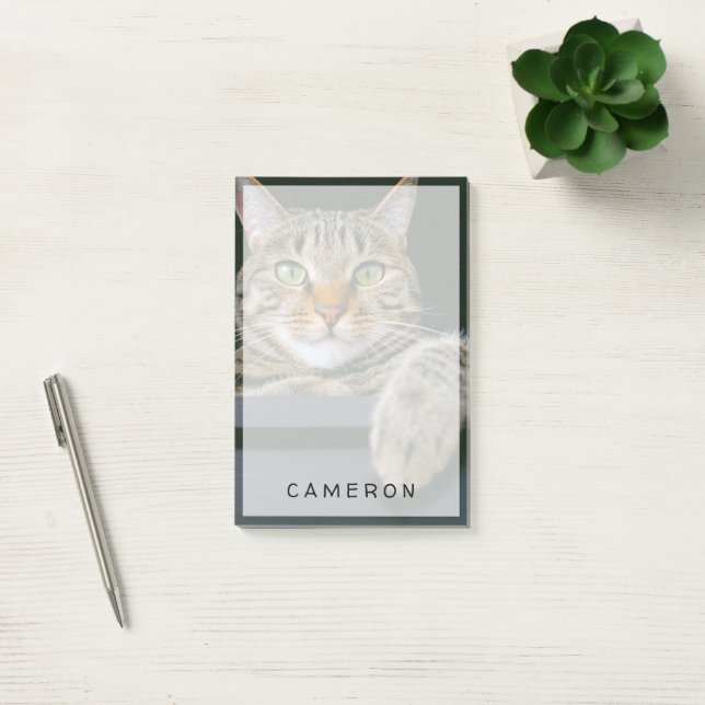 Cutest Baby Animals | Gray Tabby Cat Face Post-it Notes (Office)