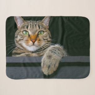 Cutest Baby Animals Gray Tabby Cat Face Sherpa Blanket