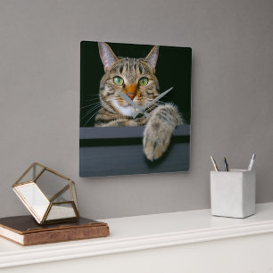 Cutest Baby Animals Gray Tabby Cat Face Square Wall Clock