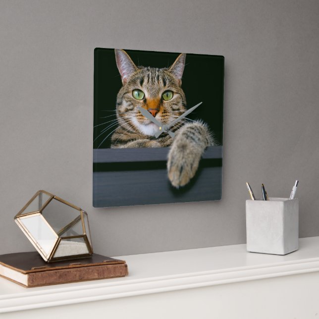 Cutest Baby Animals | Gray Tabby Cat Face Square Wall Clock (Office)