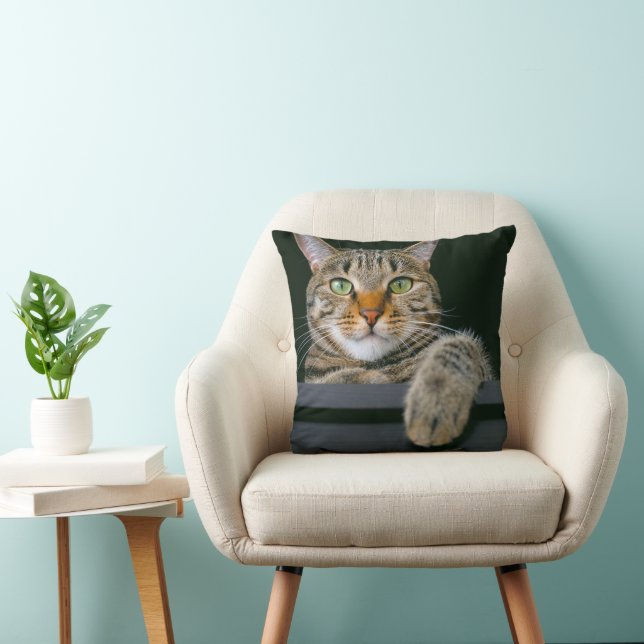 Cutest Baby Animals | Gray Tabby Cat Face Throw Pillow (Chair)