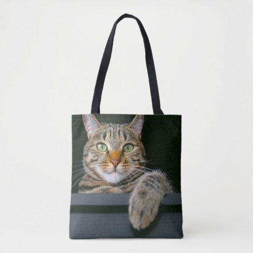 Cutest Baby Animals  Gray Tabby Cat Face Tote Bag