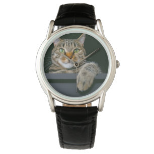 Cutest Baby Animals Gray Tabby Cat Face Watch