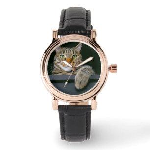 Cutest Baby Animals Gray Tabby Cat Face Watch