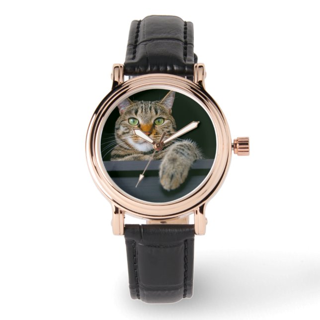 Cutest Baby Animals | Gray Tabby Cat Face Watch (Front)