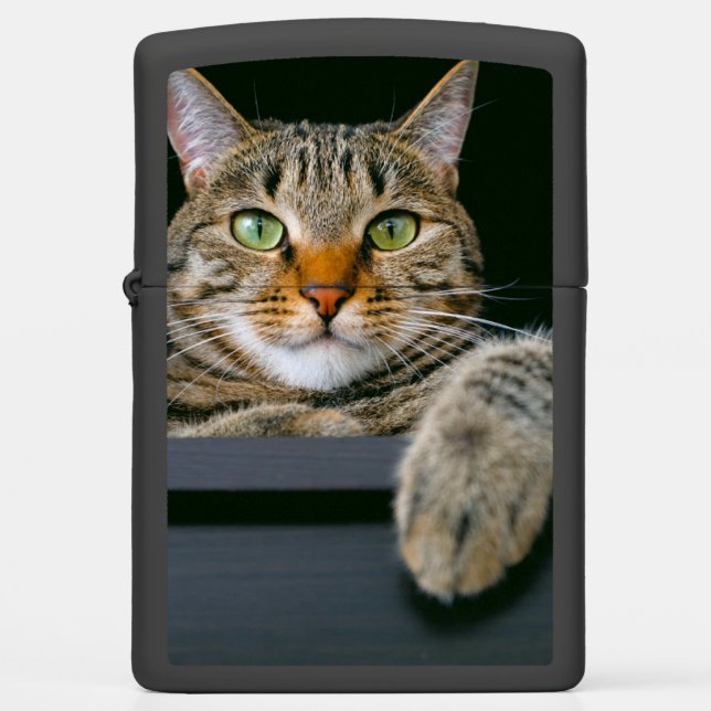 Cutest Baby Animals | Gray Tabby Cat Face Zippo Lighter (Front)