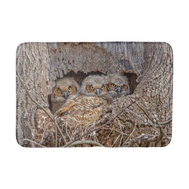 Cutest Baby Animals | Great Horned Chicks Bath Mat (Front)