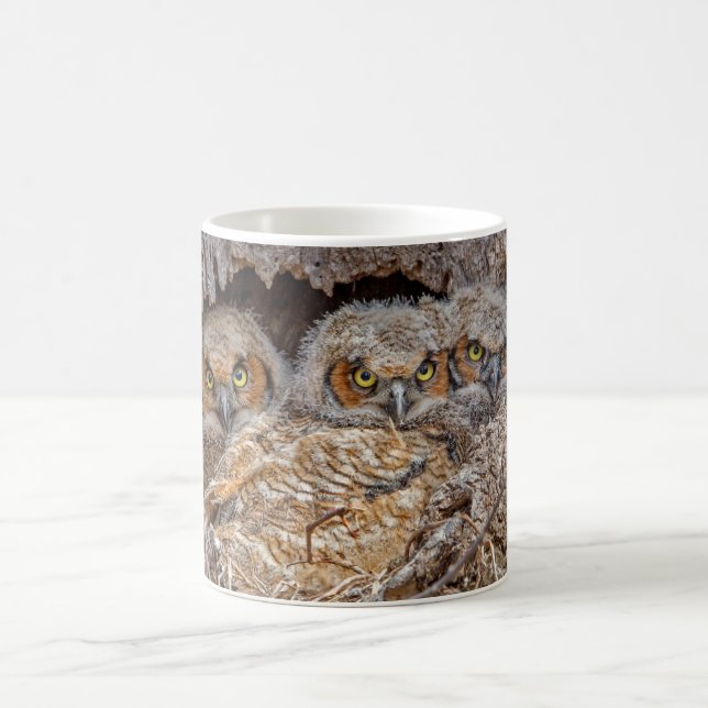 Cutest Baby Animals | Great Horned Chicks Coffee Mug (Center)