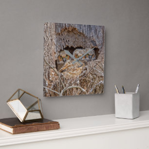 Cutest Baby Animals Great Horned Chicks Square Wall Clock