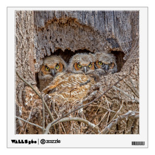 Cutest Baby Animals Great Horned Chicks Wall Decal