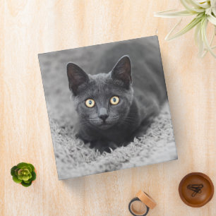 Cutest Baby Animals   Grey Cat 3 Ring Binder