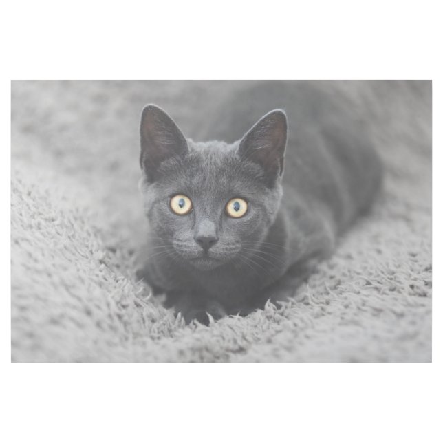 Cutest Baby Animals | Grey Cat Gallery Wrap (Front)
