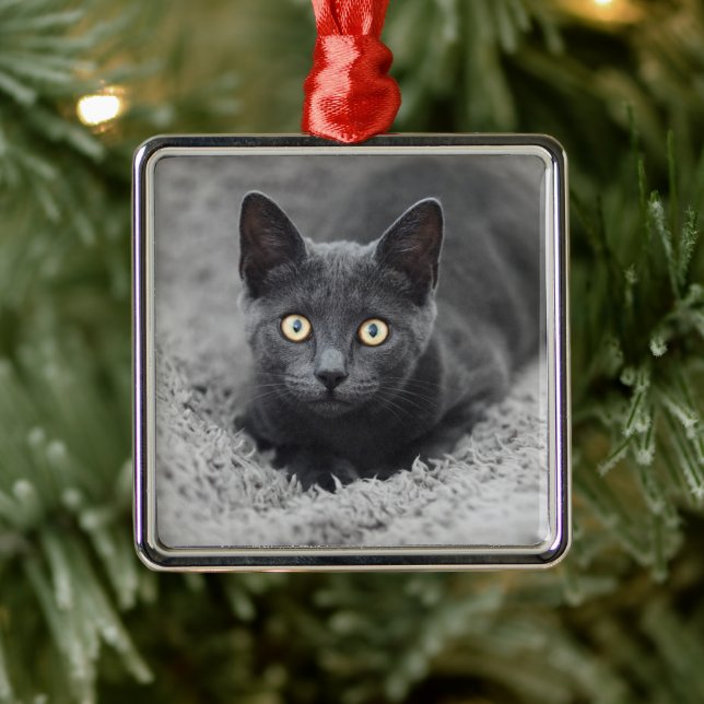 Cutest Baby Animals | Grey Cat Metal Ornament (Tree)