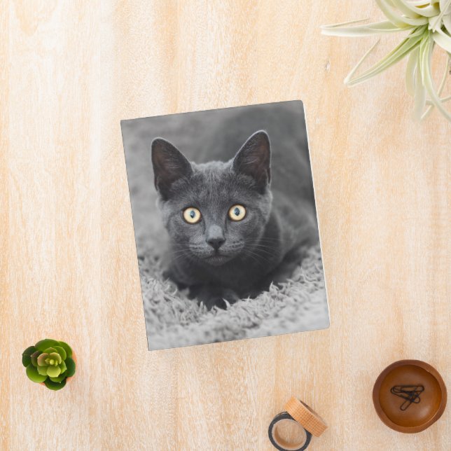 Cutest Baby Animals | Grey Cat Mini Binder (InSitu)
