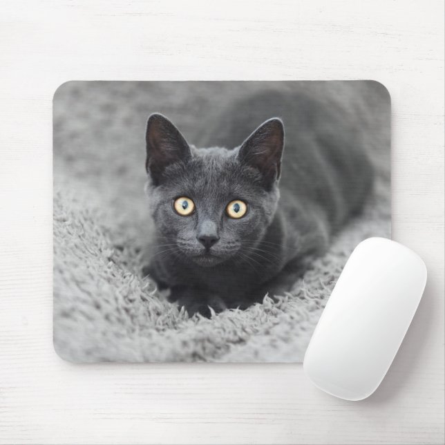 Cutest Baby Animals | Grey Cat Mouse Pad (With Mouse)