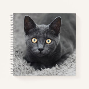 Cutest Baby Animals   Grey Cat Notebook