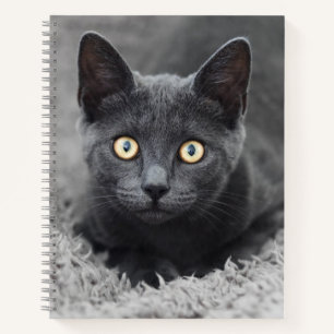 Cutest Baby Animals Grey Cat Notebook