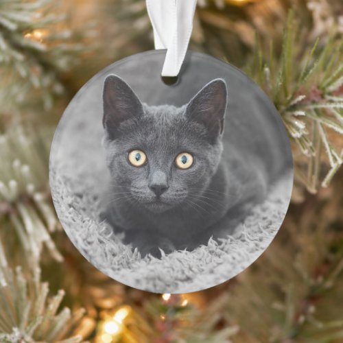 Cutest Baby Animals  Grey Cat Ornament