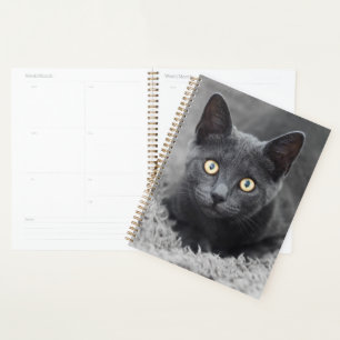 Cutest Baby Animals Grey Cat Planner