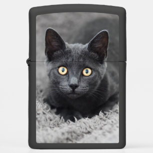Cutest Baby Animals Grey Cat Zippo Lighter