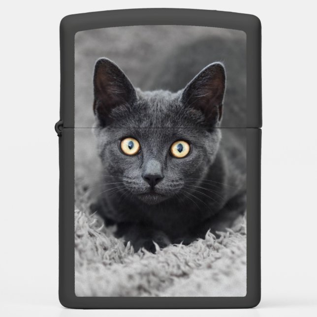 Cutest Baby Animals | Grey Cat Zippo Lighter (Front)