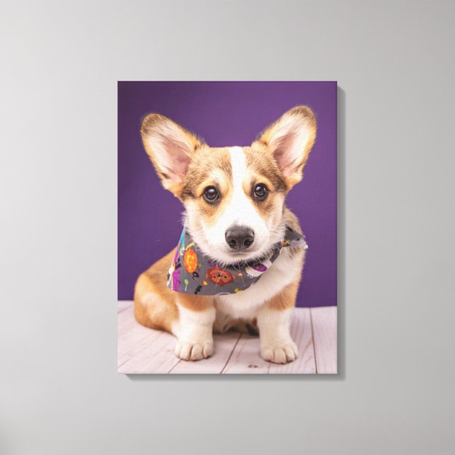 Cutest Baby Animals | Halloween Corgi Canvas Print (Front)