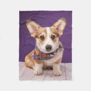 Cutest Baby Animals Halloween Corgi Fleece Blanket