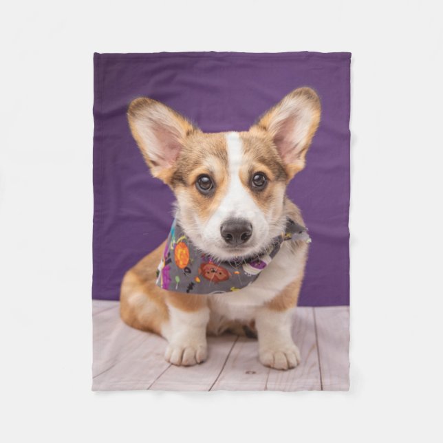 Cutest Baby Animals | Halloween Corgi Fleece Blanket (Front)