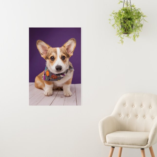 Cutest Baby Animals | Halloween Corgi Foam Board (In Situ (Wall))