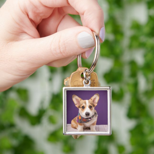 Cutest Baby Animals | Halloween Corgi Keychain (Hand)