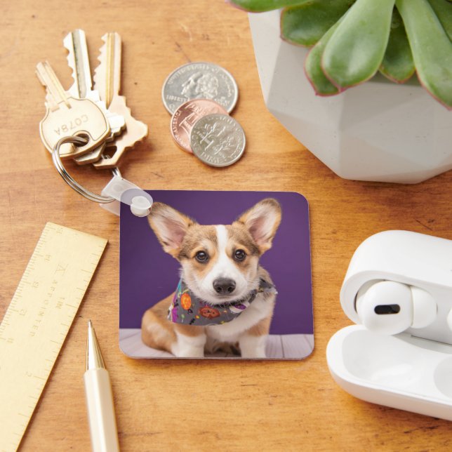 Cutest Baby Animals | Halloween Corgi Keychain (Desk)